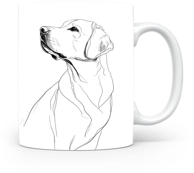 Beker Labrador Retriever