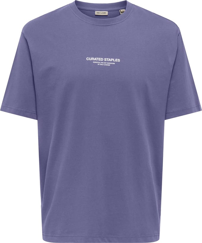ONLY&SONS - ONSCURATED RLX PRINT SS TEE NOOS - Heren - T-shirts