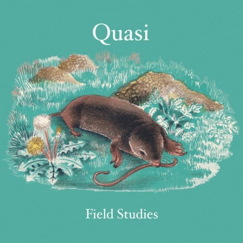 Field Studies - Quasi