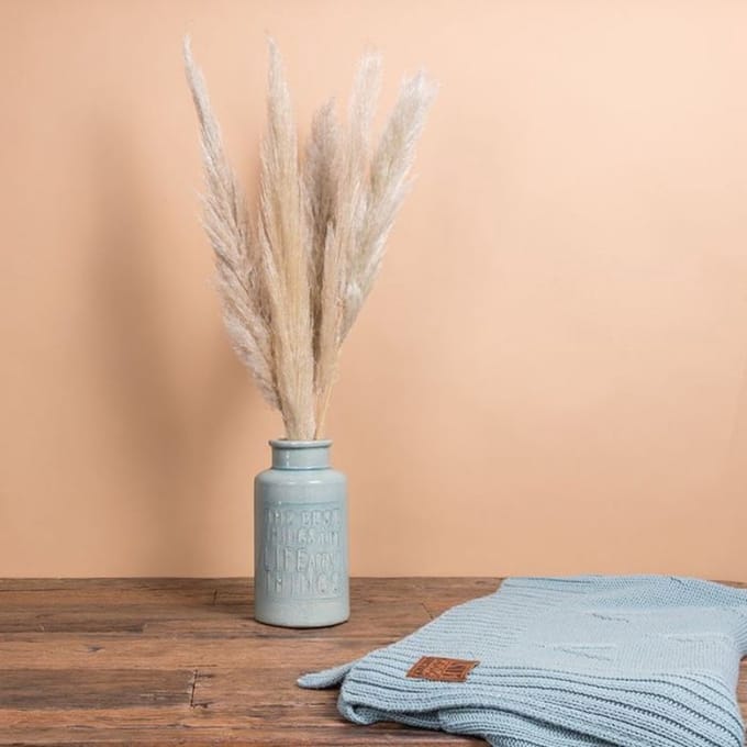 BloomKado | Droogbloemen | Pampas Pluimen | 60cm | 5 Stelen | Naturel