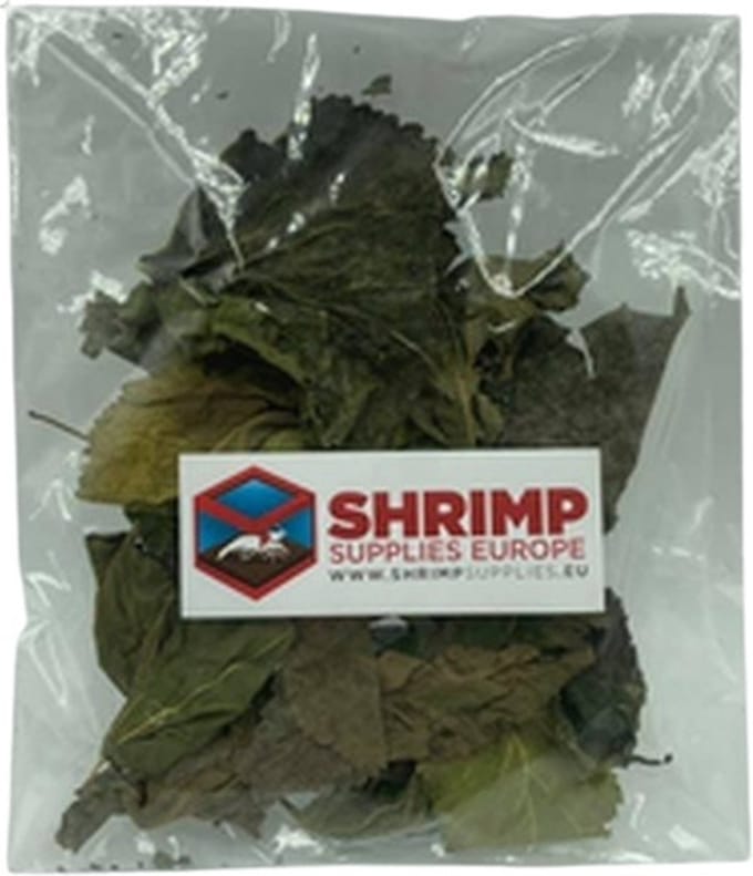 Onlineaquarium spullen Mulberry bladeren budget