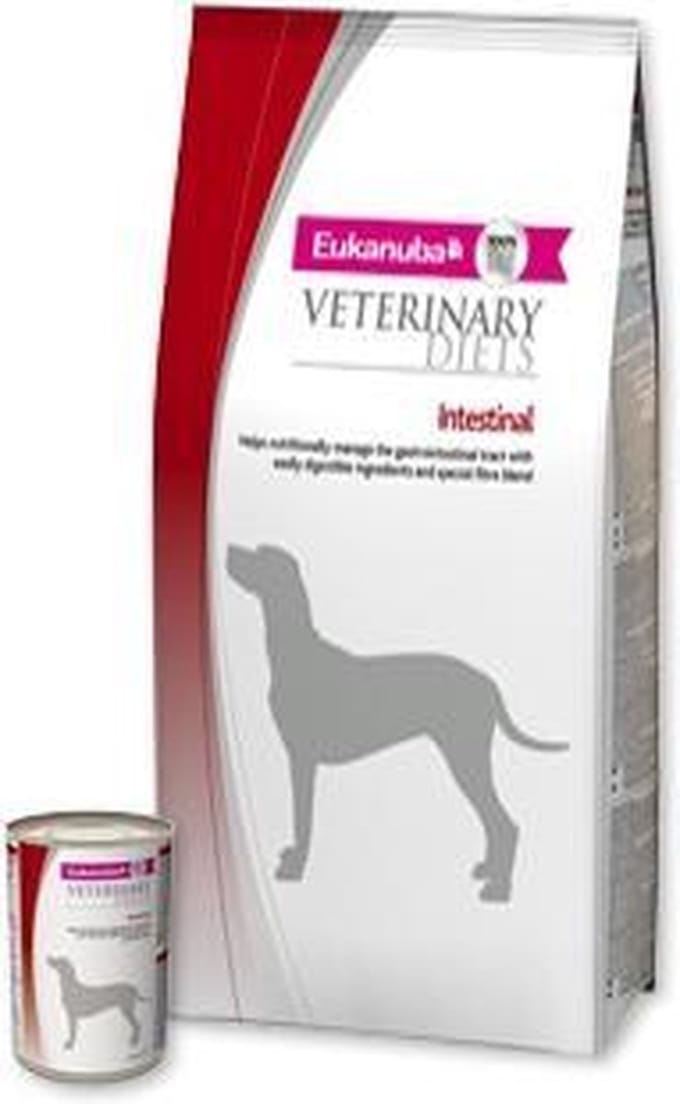 Eukanuba Intestinal Droogvoer Dog
