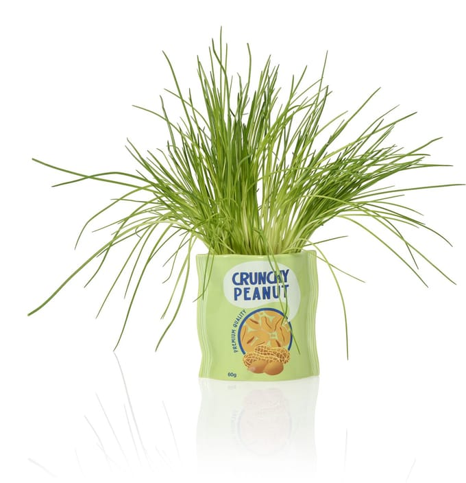 Pindazak bloempot van Bitten