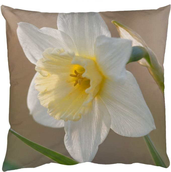 Sierkussens - Kussentjes Woonkamer - 40x40 cm - Narcis - Bloem - Minimalistisch