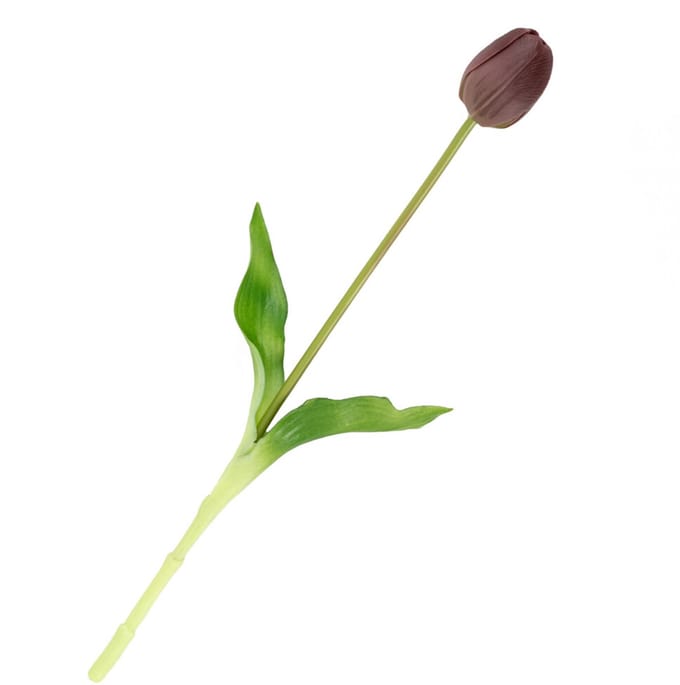 HomeBound by KY | Kunsttulp real touch aubergine | kunsttulp