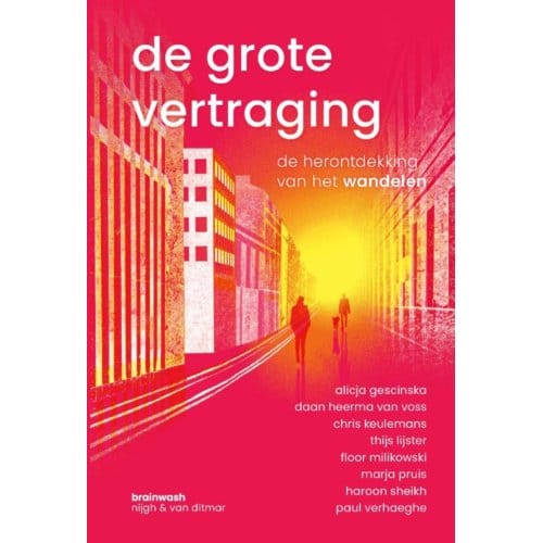 De Grote Vertraging - Diverse auteurs