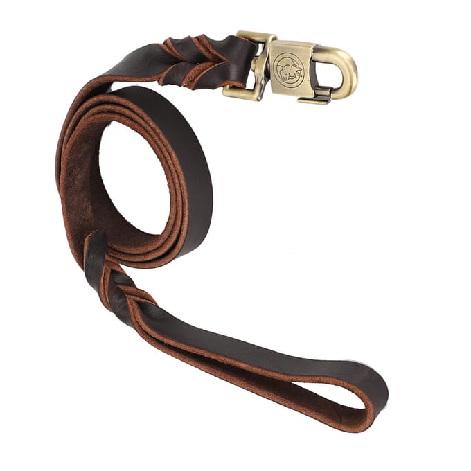 1pc Soft Leather Dog Collar & Leash in Braided Pet Chain (2.5 x 150cm) black
