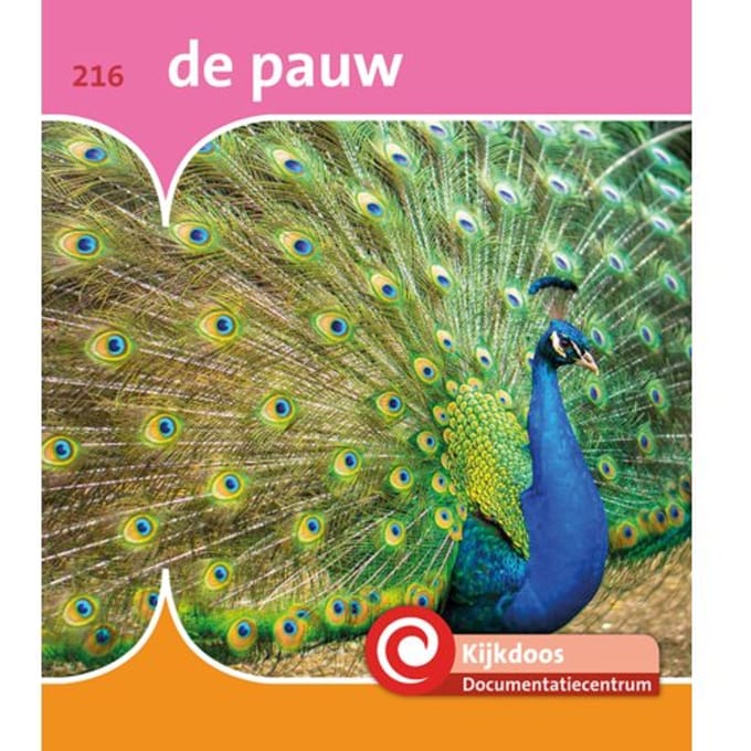 De Pauw - De Kijkdoos - Minke van Dam