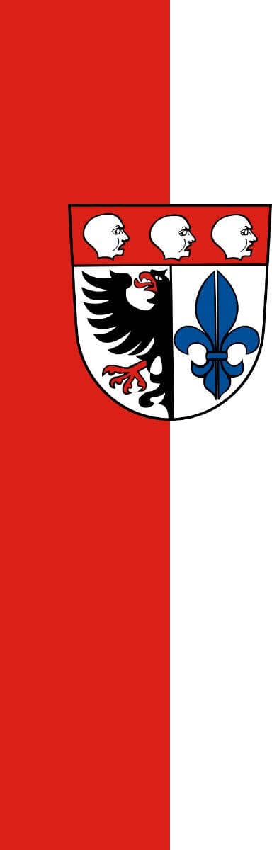 Vlag Wangen 100x150cm