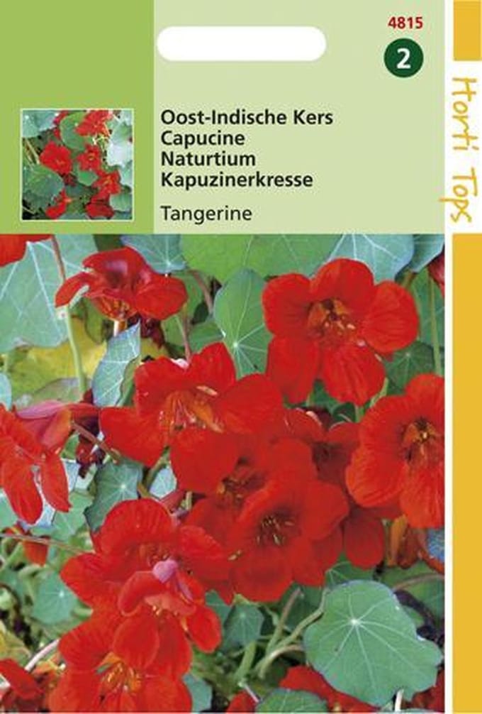 Hortitops Zaden - Tropaeolum Majus Nanum Empress Of India