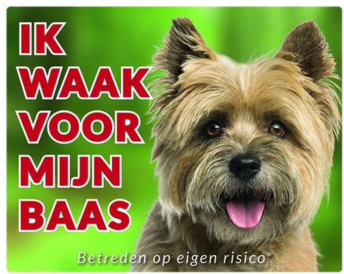 Cairn Terrier Waakbord - Ik waak voor mijn baas Blond