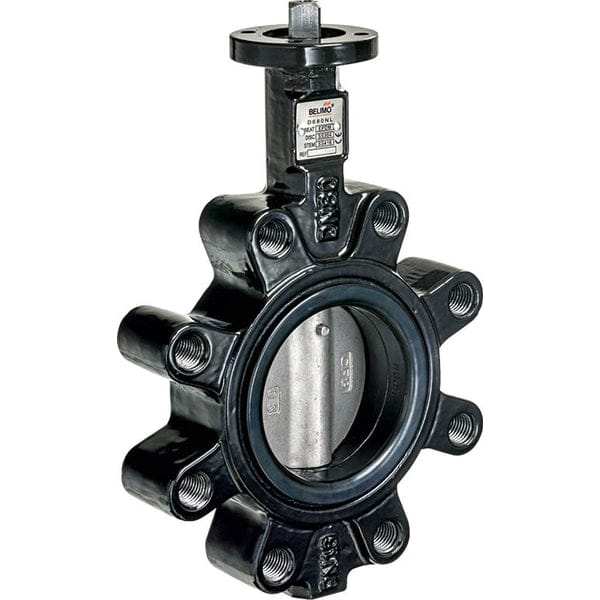 Belimo Vlinderklep DN65/PN16 Lug GGG40 EPDM Hefboom D665NL/ZD6N-H100