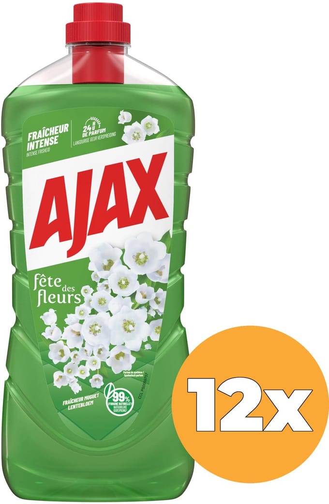 x12 Ajax Allesreiniger Fête des Fleurs 1000ml
