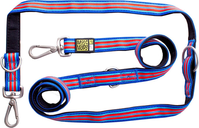 MAX & MOLLY Hampton Strip Verstelbare Hondenlijn / Hondenriem - Polyester - Blauw - M - Breedte: 2 cm - Lengte: 200 cm
