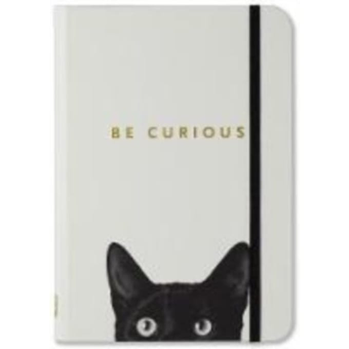 Peter Pauper compacte notitieboek - Curious Cat - met elastieksluiting - 13x18 cm