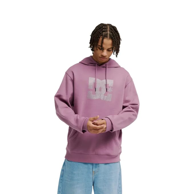 Dc Shoes Strass Star Ph Hoodie Paars L Man