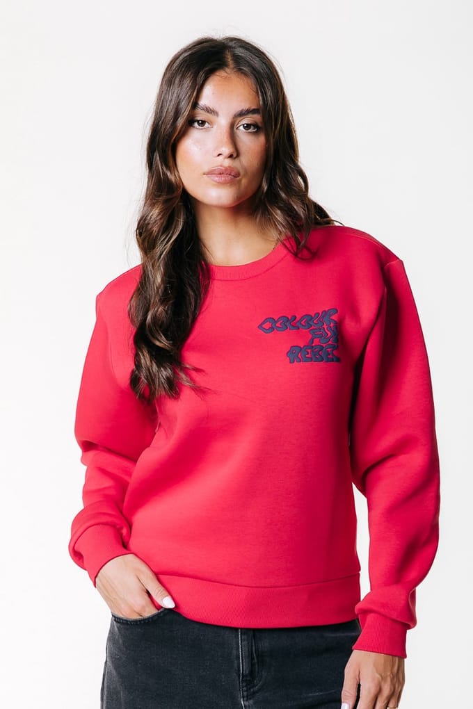Colourful Rebel Logo Wave Relaxed Sweat - S