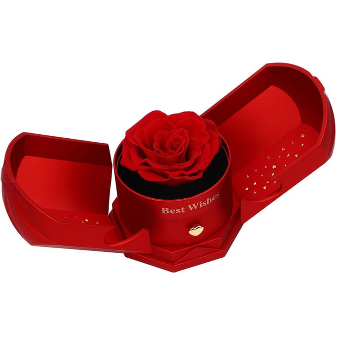 Eeuwige Roos Ringdoos Verrassende Multifunctionele Eeuwige Roos Hangerdoos voor Sieraden Ketting Type 1 red