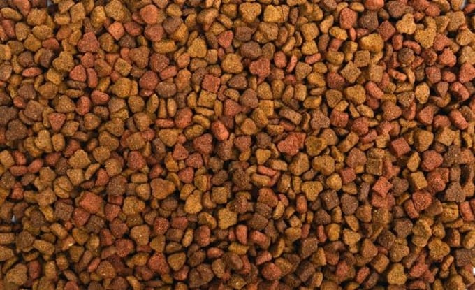 O'Nelli Budget 3-mix Kat 10KG