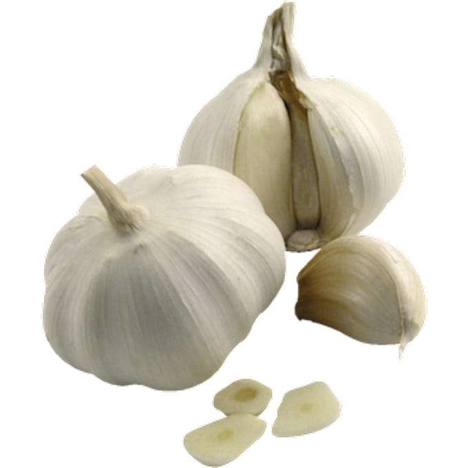 Knoflook
