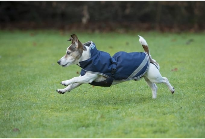 BUCAS FREEDOM DOG RUG 150GRAM Donkerblauw