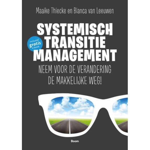 Systemisch Transitiemanagement - Maaike Thiecke