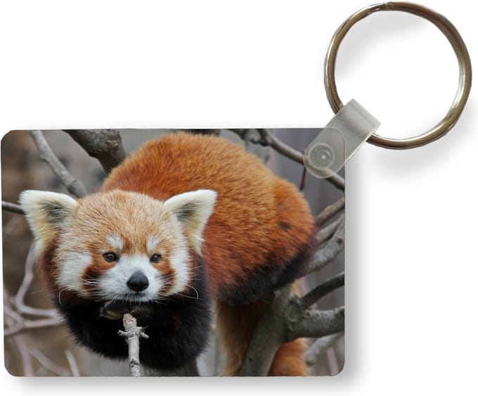 Sleutelhanger - Rode Panda - Takken - Boom - Uitdeelcadeautjes - Plastic