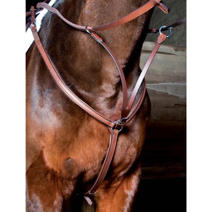 Jachthalsband voor paard met voering T de T