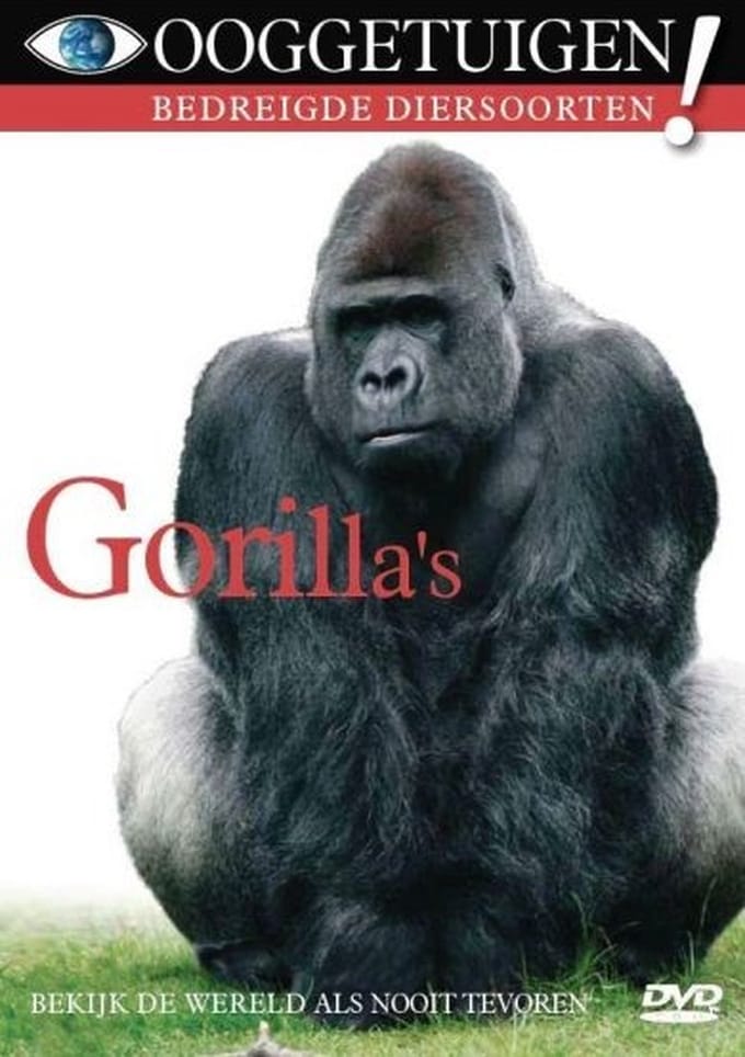 Ooggetuigen - Gorilla's (DVD)