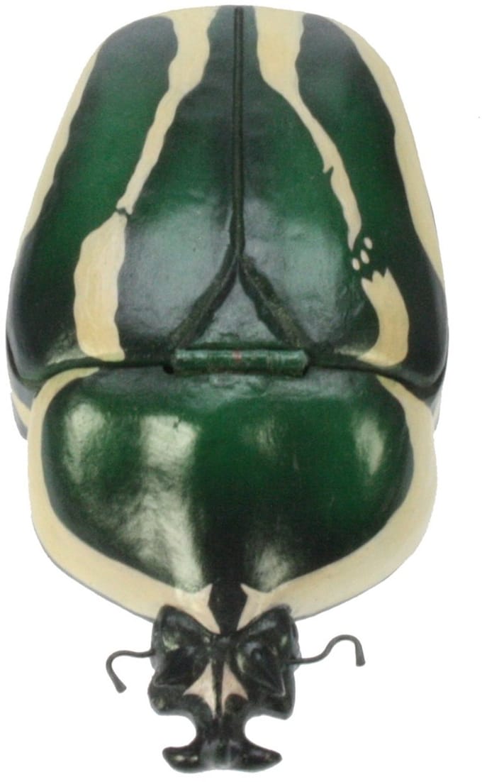 Kever groen doos 15,5x4,5x8,7cm