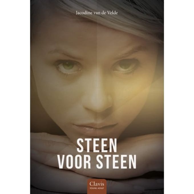 Steen Voor Steen - Jacodine van de Velde