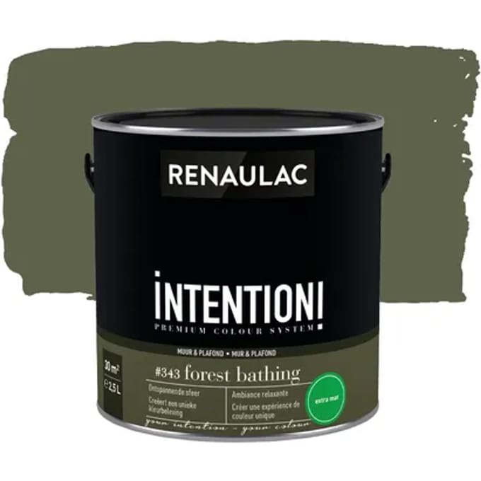 Renaulac Intention Muurverf - Extra Mat - Forest Bathing - 2,5l