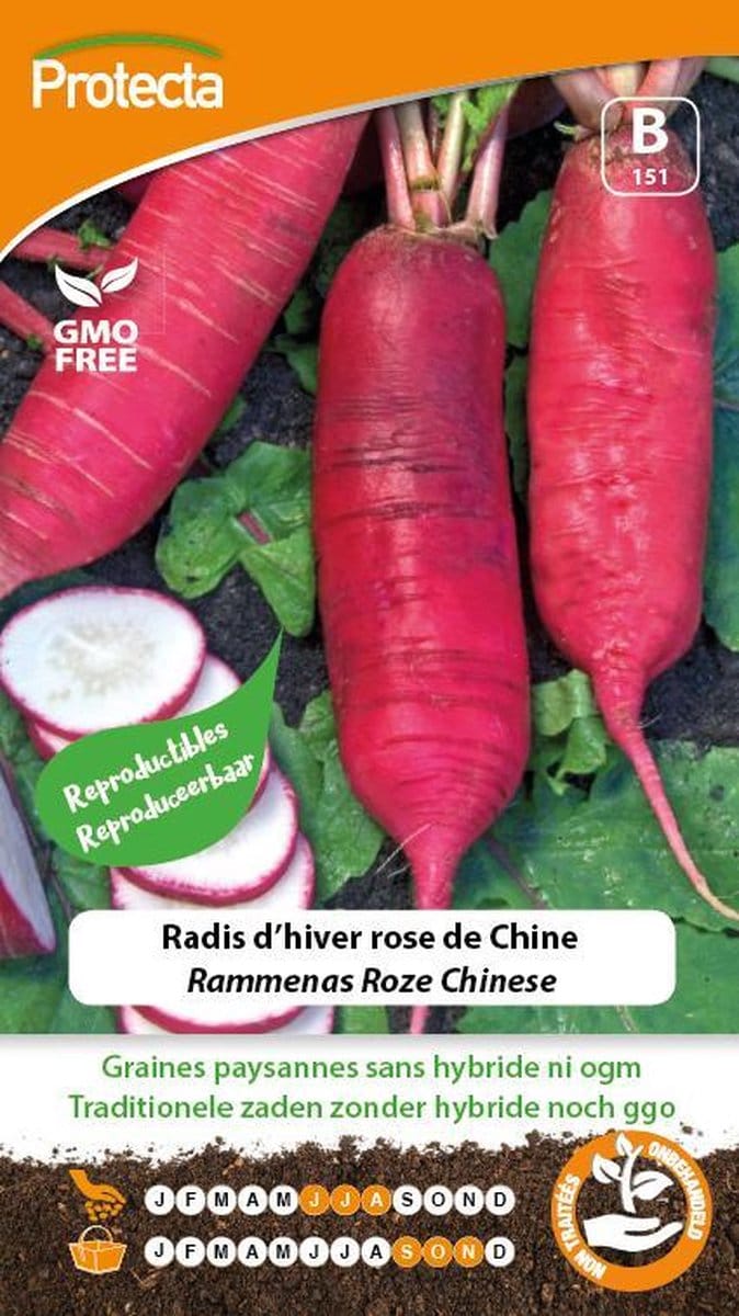 RadijsRoze Chinese