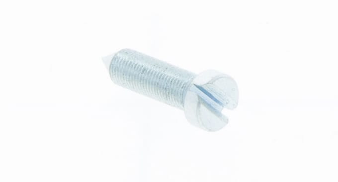 Screw