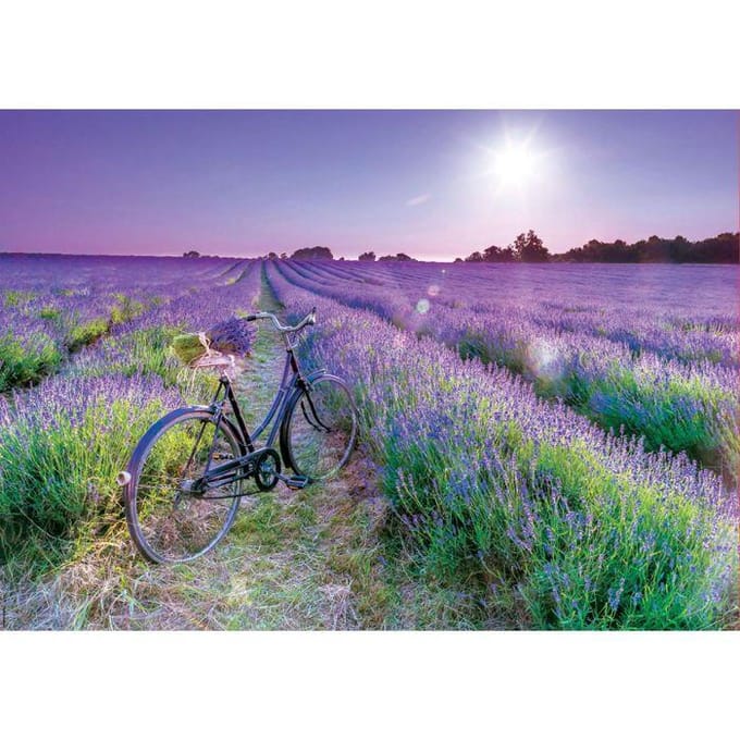 Educa puzzel fiets lavendelveld 1000 stukjes voor volwassenen.