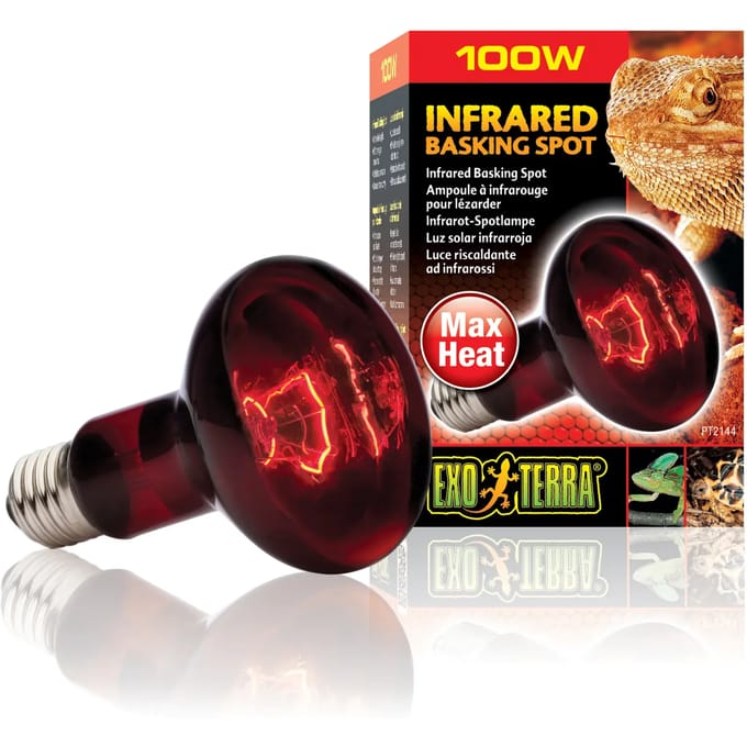 Terrarium lamp Exo Terra Basking Spot 100W
