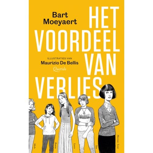 Het Voordeel Van Verlies - Bart Moeyaert