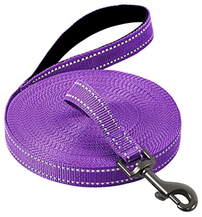 Omgoods - Reflecterende Hondenriem met Comfort Grip - Robuuste Training Leash
