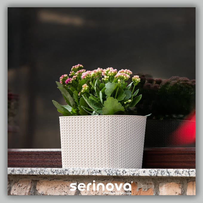 Ovale bloempot - Set van 2 - beige sierpot met wateropvang - 30cm - bloembak