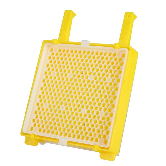 Kit de système d'apiculture Boîte de système d'élevage de reines d'abeilles Kit de greffage d'élevage de boîtes d'apiculture beige