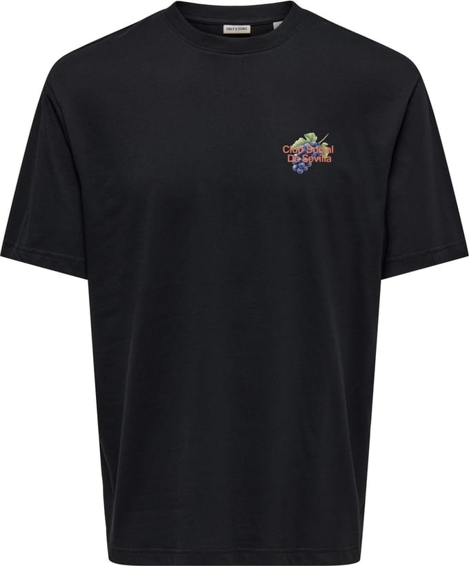 ONLY&SONS - OSJAXEL DORADO LIFE RLX SS TEE - Jongens - T-shirts
