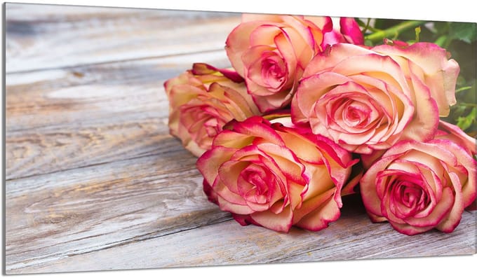 TMK ArtDeko - Roos - 90x52 cm - Glasplaat - Beschermplaat
