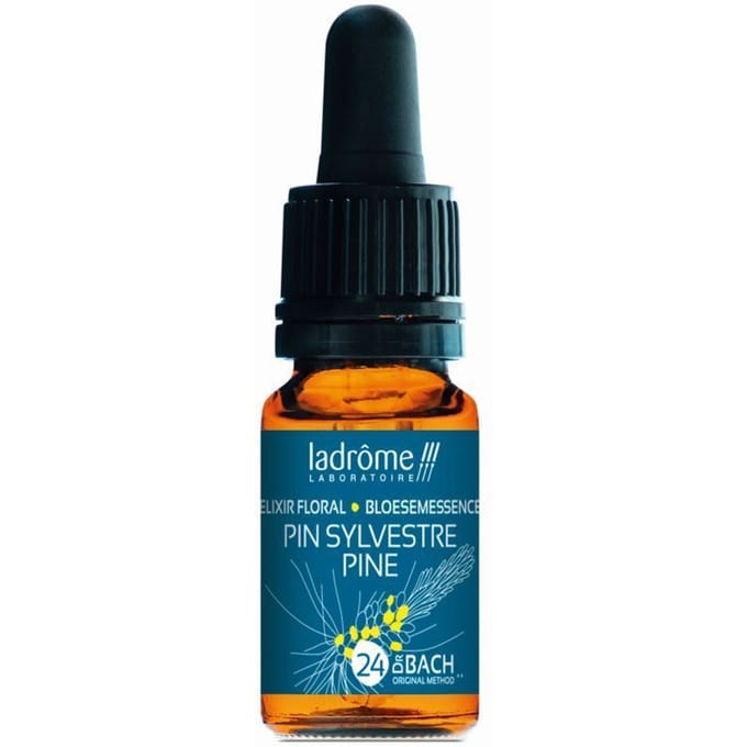Ladrome Pine / Den 24 bio 10 Milliliter