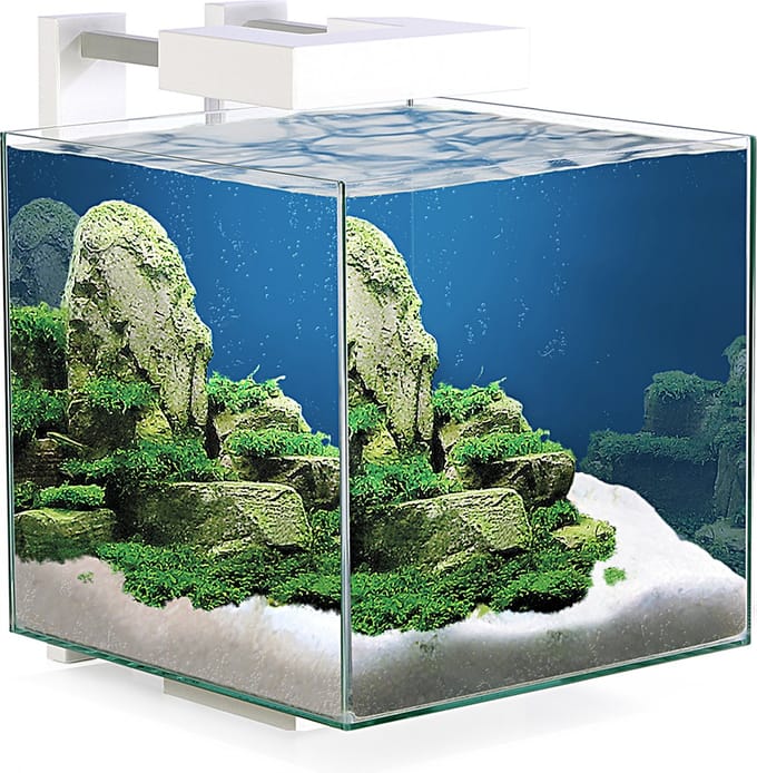 Ciano nexus pure led 15 - nano aquarium - 14L