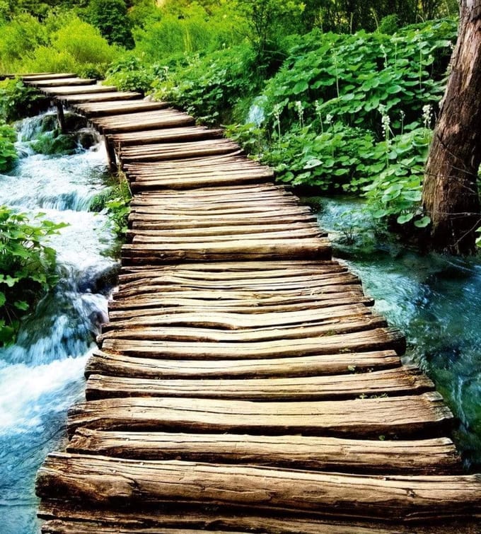 Fotobehang - Boardwalk 225x250cm - Vliesbehang
