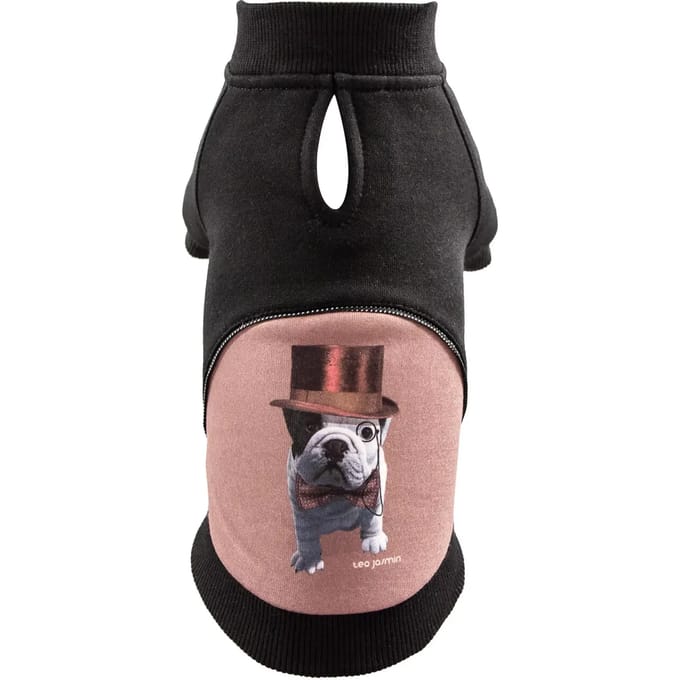 Hoodie voor hond Martin Sellier Teo Dandy