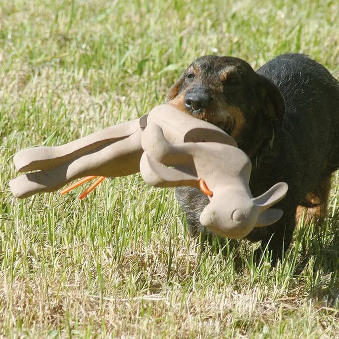 Draagbaar strategisch spel voor honden Waidwerk Dummy Lapin