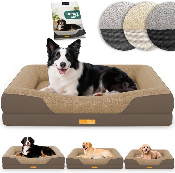 ELONEO Orthopedisch Hondenbed – M – Bruin