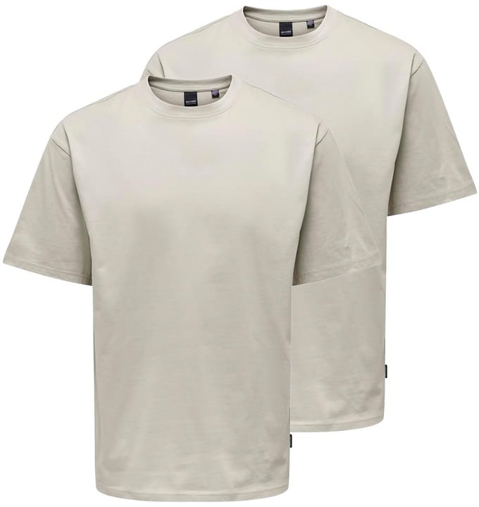 Only & Sons Heren t-shirt 2 pack Onsfred
