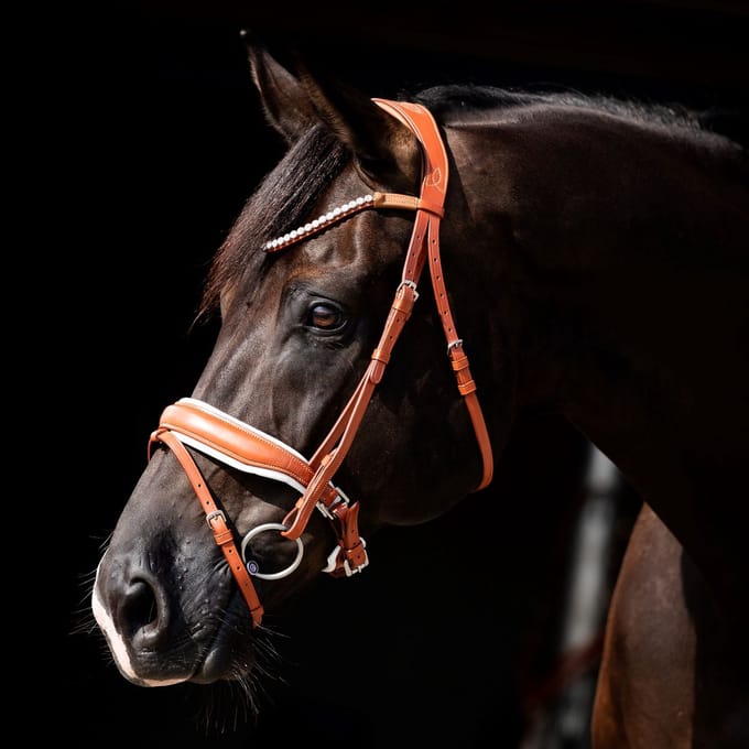 HB Showtime Hoofdstel Chestnut-Cognac-Wit-Volledig
